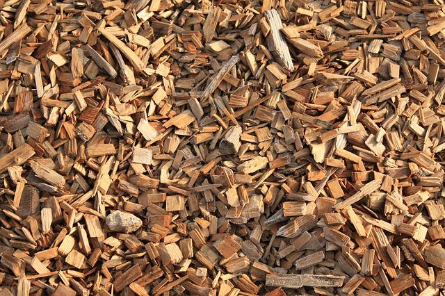 Best Wood Chips for Smoking Cocktails